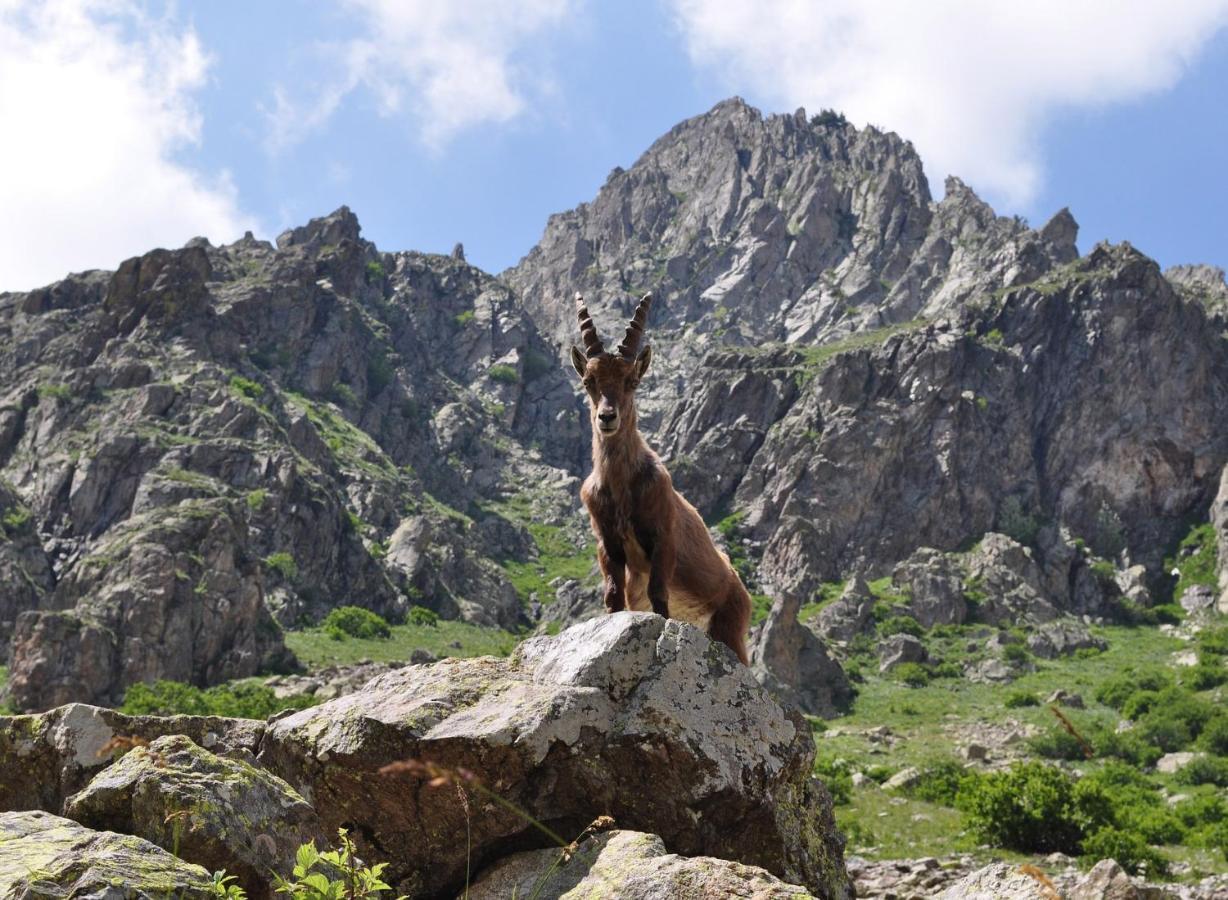 ネルハ Cortijo Luqueヴィラ エクステリア 写真