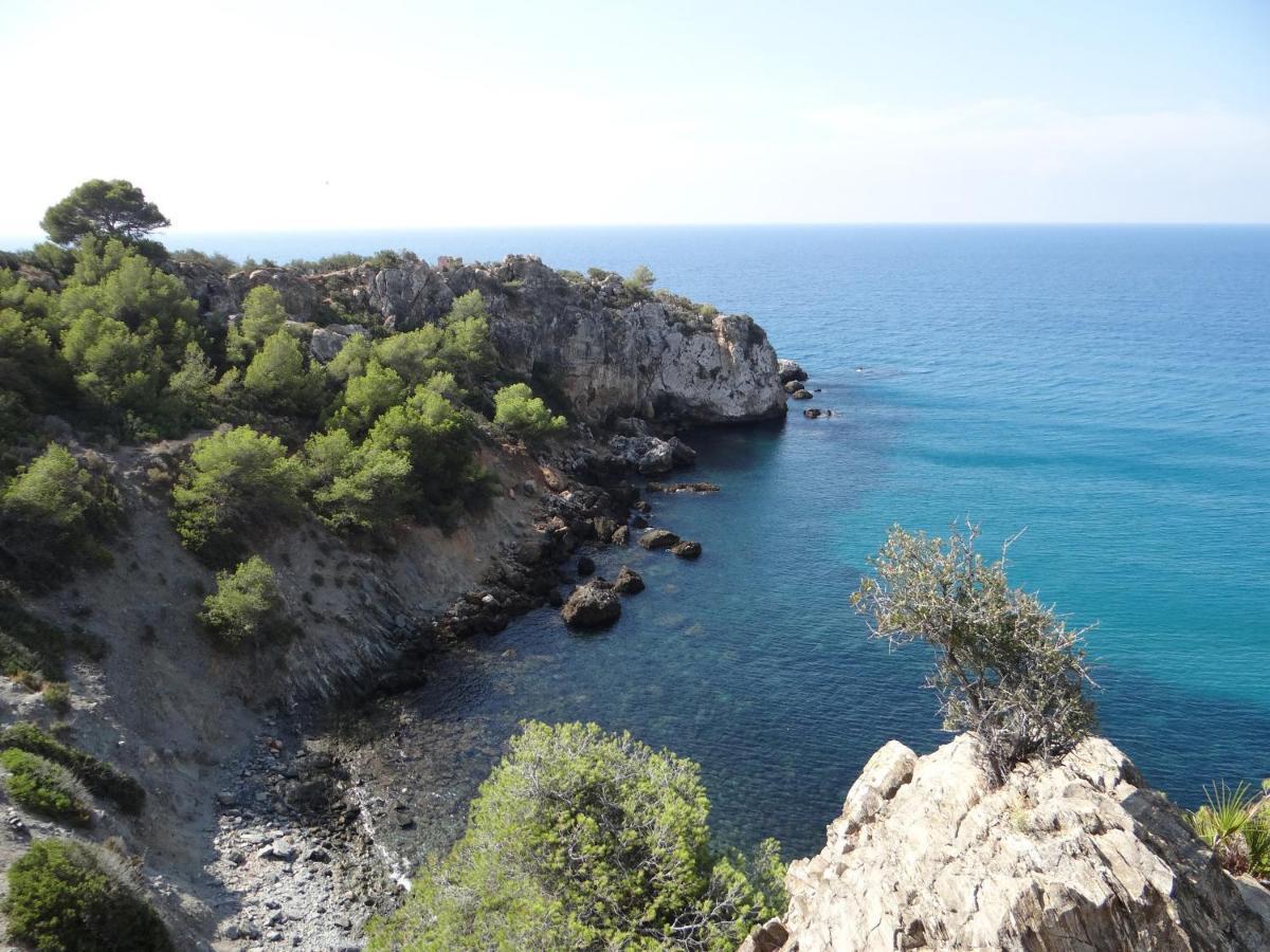 ネルハ Cortijo Luqueヴィラ エクステリア 写真