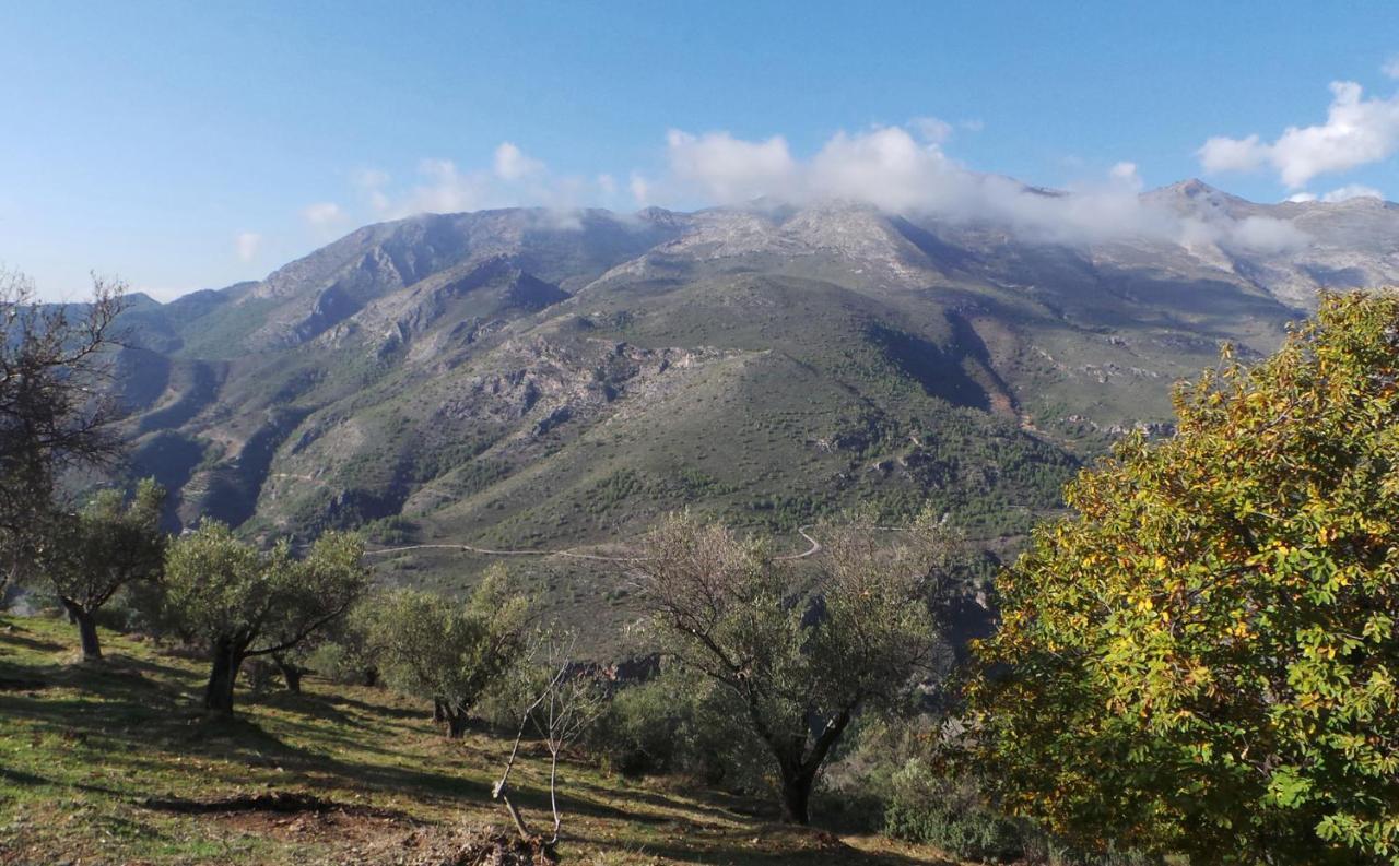 ネルハ Cortijo Luqueヴィラ エクステリア 写真