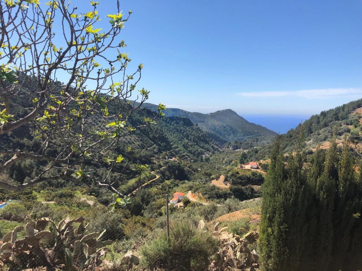 ネルハ Cortijo Luqueヴィラ エクステリア 写真