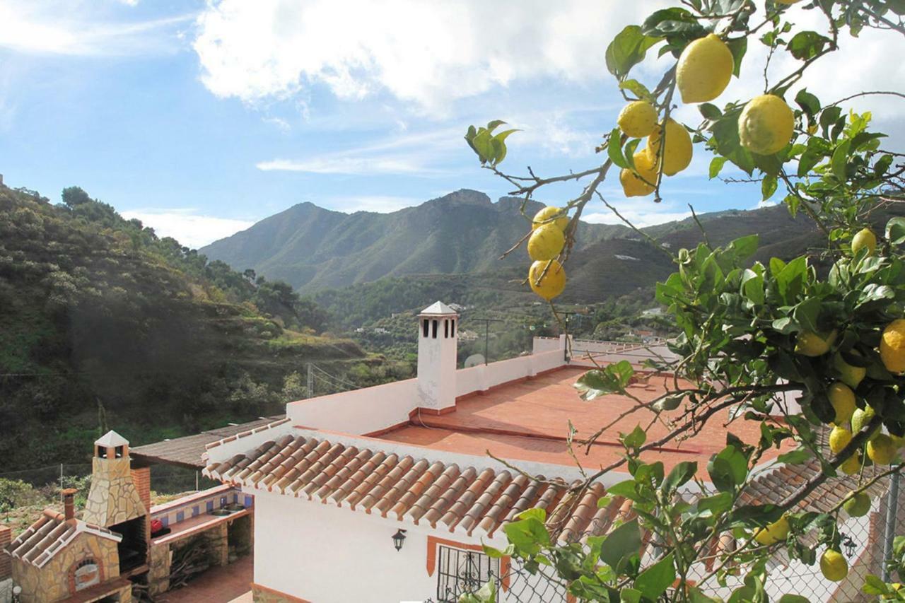 ネルハ Cortijo Luqueヴィラ エクステリア 写真