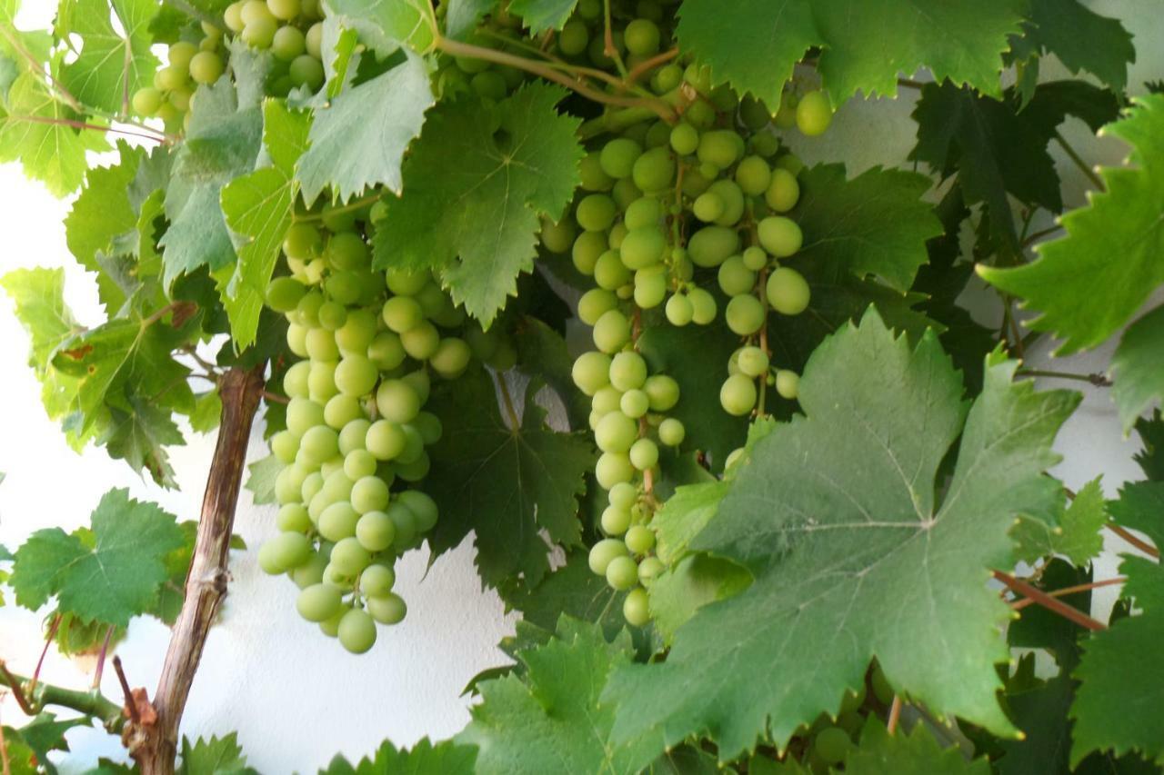 ネルハ Cortijo Luqueヴィラ エクステリア 写真